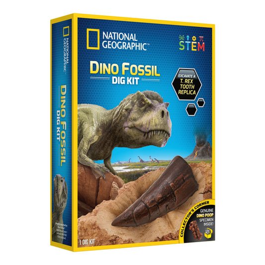 Dino Fossil Dig Kit