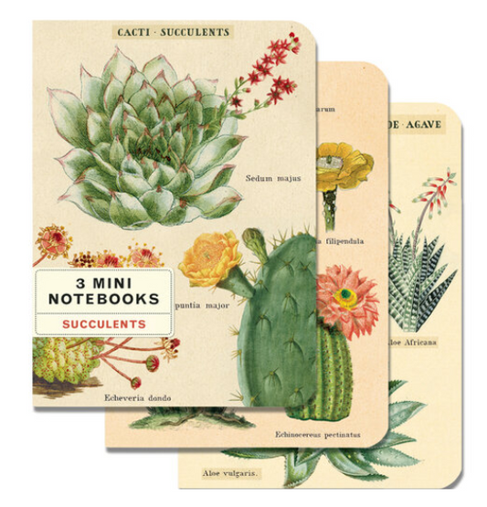 Succulents Mini Notebook