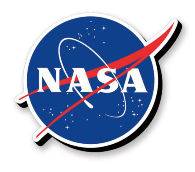 NASA Logo Funky Chunky Magnet
