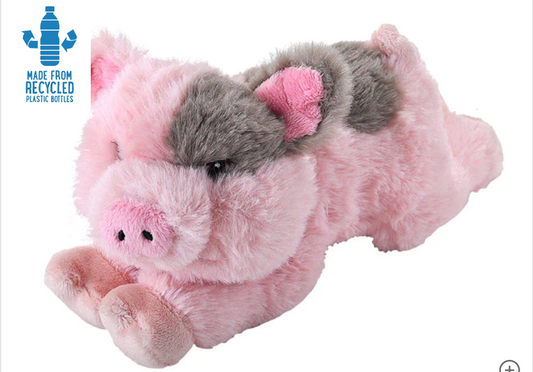 Ecokins Mini Pig