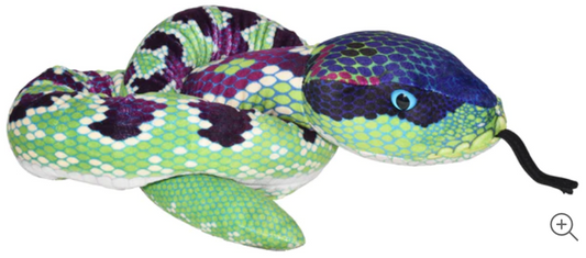 Green & Purple Snake