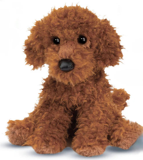 Miniature Ginger Poodle