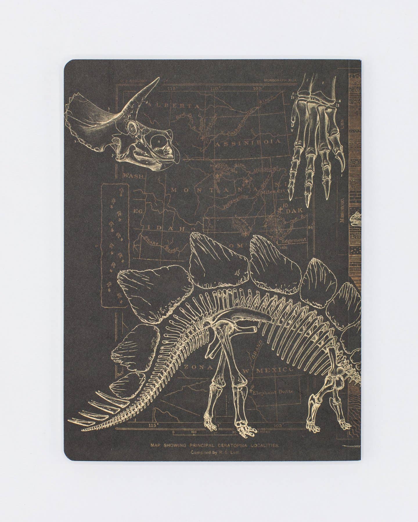 Dinosaur Softcover Notebook - Dot Grid Pages