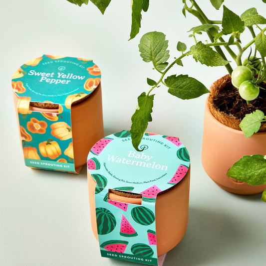 Tiny Terracotta Garden Kit