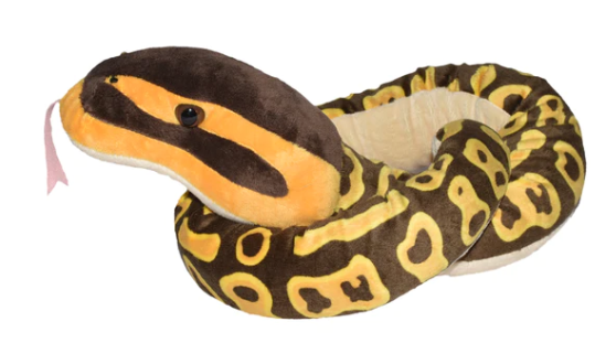Snake Ball Python