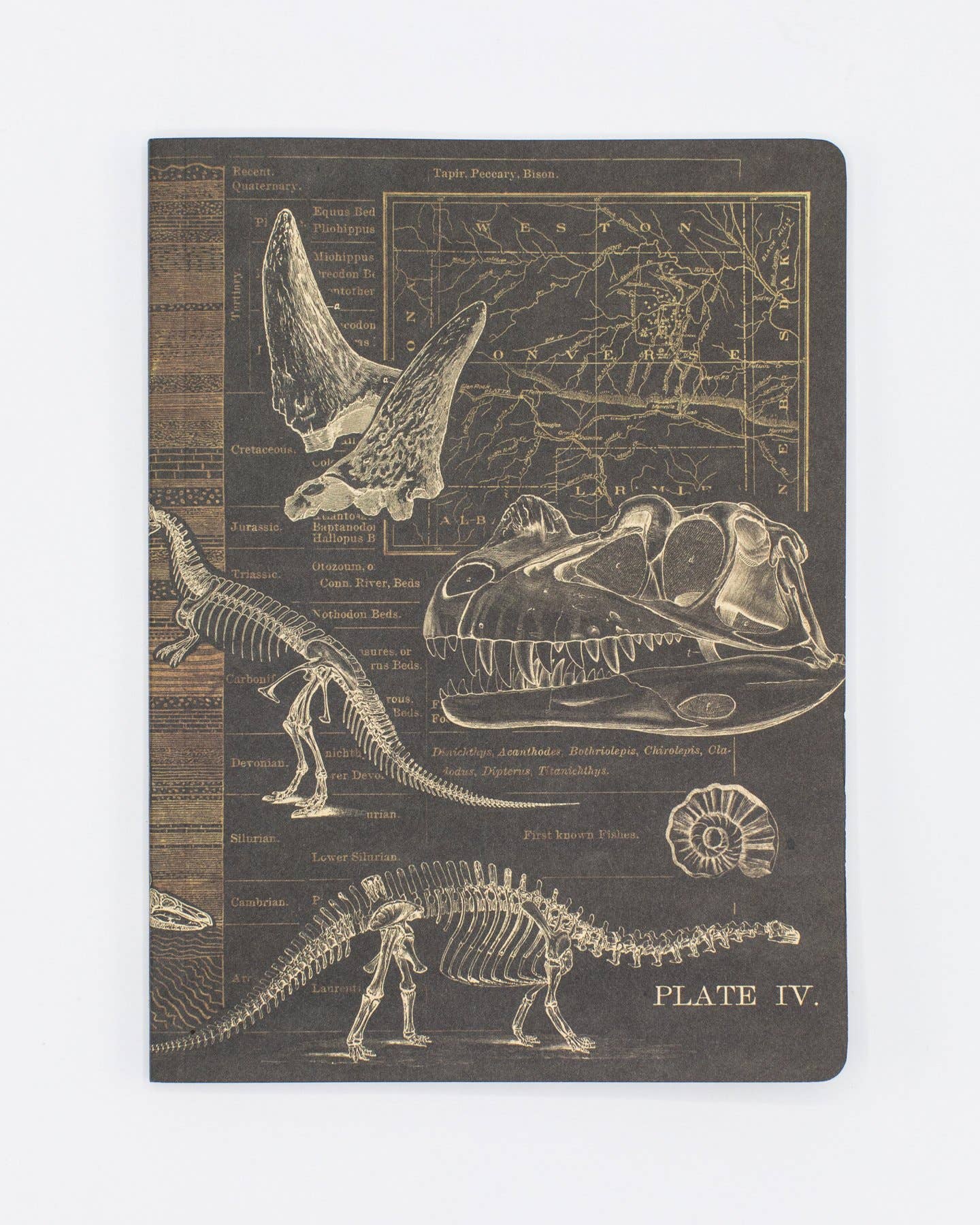 Dinosaur Softcover Notebook - Dot Grid Pages