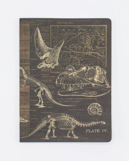 Dinosaur Softcover Notebook - Dot Grid Pages