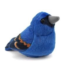 Audubon Blue Grosbeak