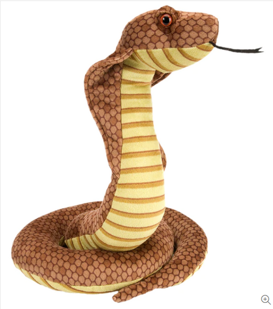 Snake Hooded Cobra