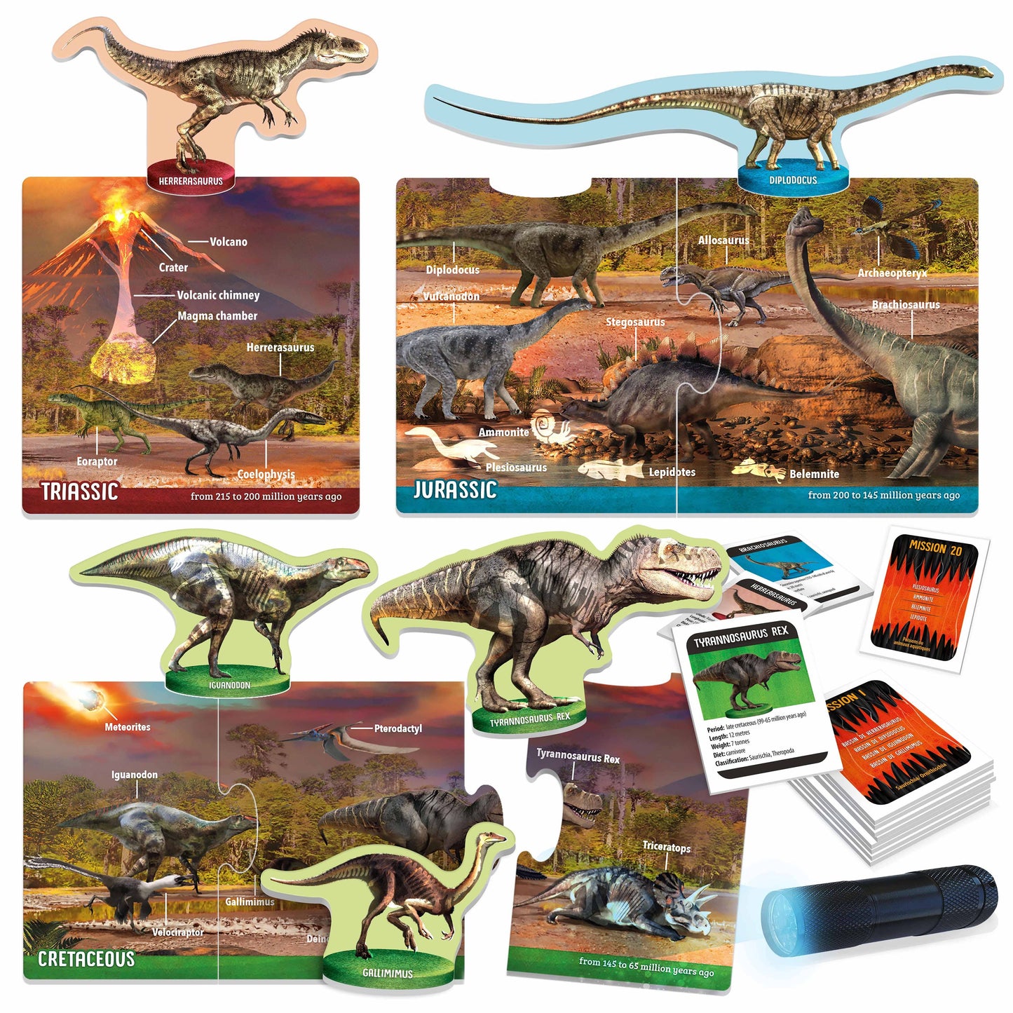 Dinosaurs under X-Ray - Educational Toy for Kids