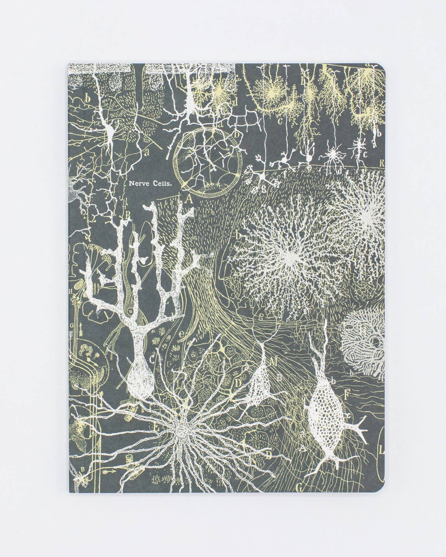 Neurons Softcover Notebook - Lined Pages