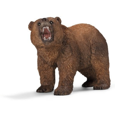 Grizzly Bear (Retired)