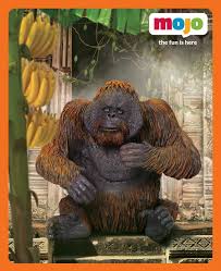 Mojo Orangutan