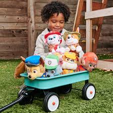 Paw Patrol 6in Assorted Plush