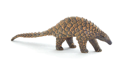 Mojo Indian Pangolin