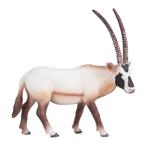 Mojo Arabian Oryx