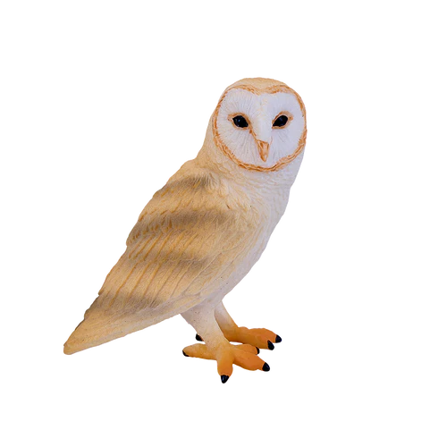 Mojo Barn Owl