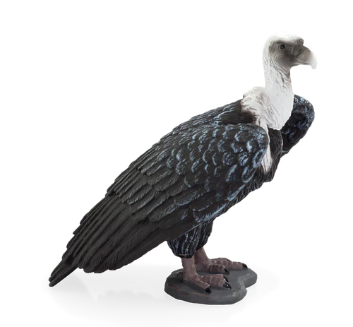 Mojo Griffon Vulture