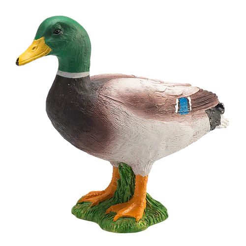 Mojo Mallard Duck Male