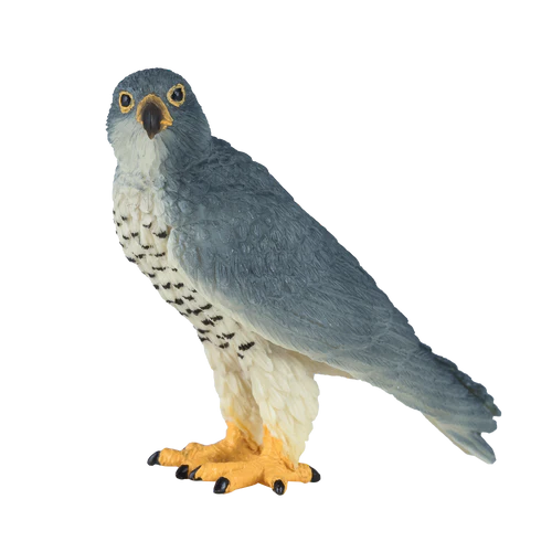 Mojo Peregrine Falcon