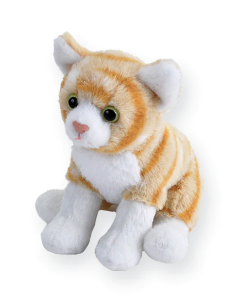 Pocketkins Orange Tabby Cat