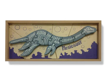 A wooden Plesiosaur puzzle featuring white skeleton sits put together in its box