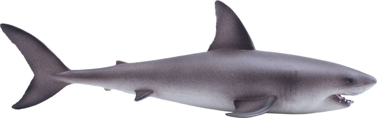Mojo Great white shark