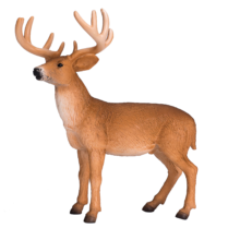 Mojo White Tailed Deer Buck