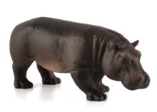 Mojo Hippopotamus Female