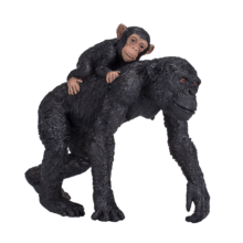 Mojo Chimpanzee with Baby