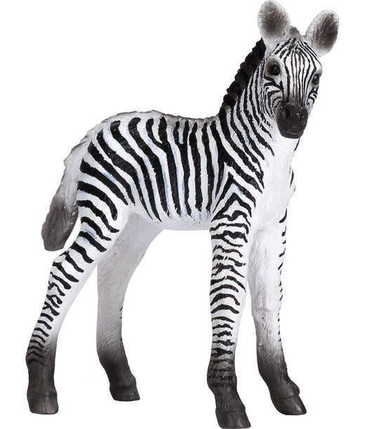 Mojo Zebra Foal