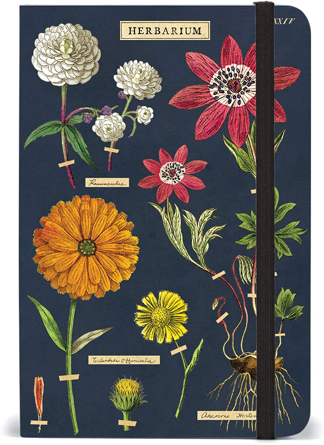 Dark blue notebook reads "Herbarium" and shows labeled illustrations of different flowers
