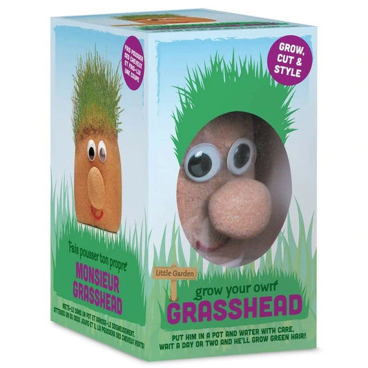 Grow a Grass Head