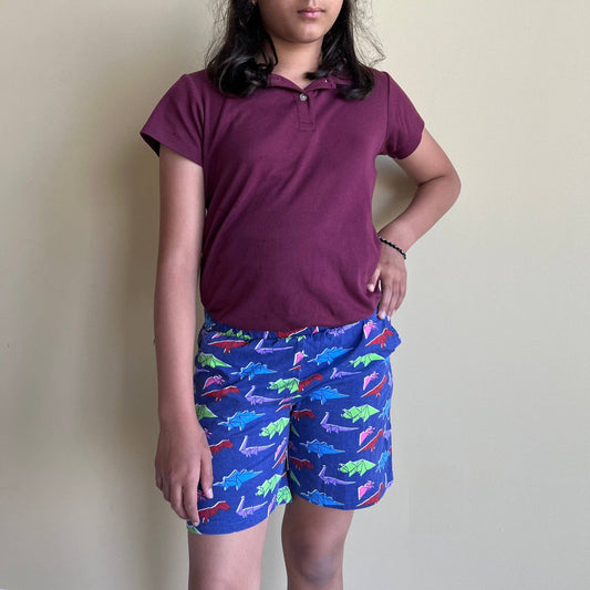 Origami Dinosaurs Kids Shorts