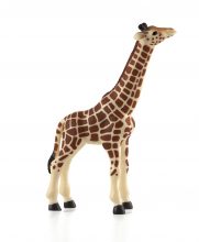 Mojo Giraffe Calf