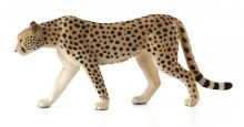 Mojo Male Cheetah