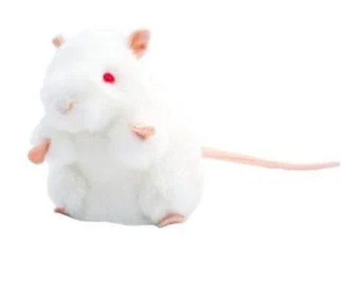 White Lab Mouse