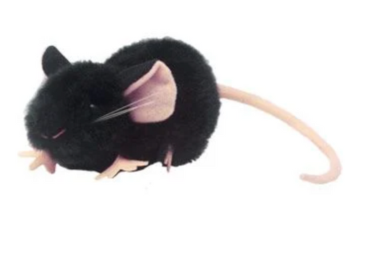 Black Lab Mouse