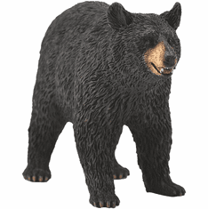 Mojo American Black Bear