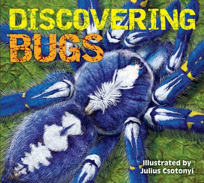 Discovering Bugs