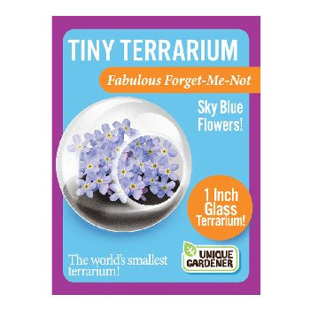 Tiny Terrarium Flower