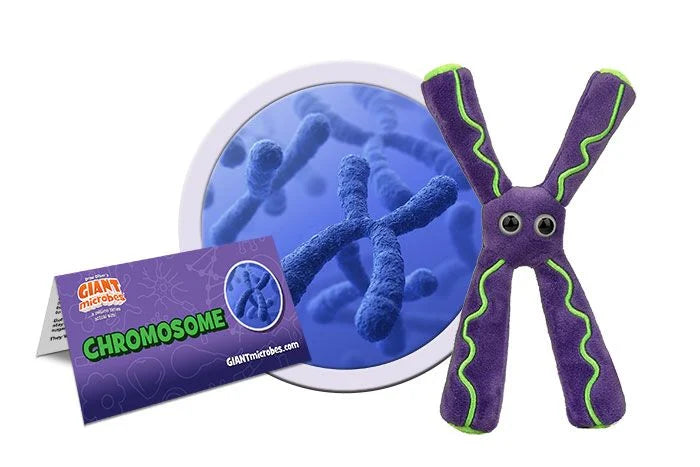 Giant Microbes - Body Parts