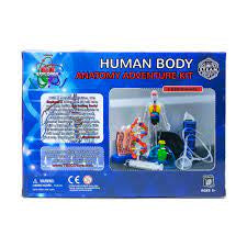 Human Body Anatomy Adventure Kit