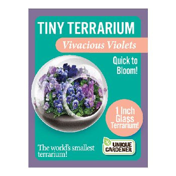 Tiny Terrarium Flower