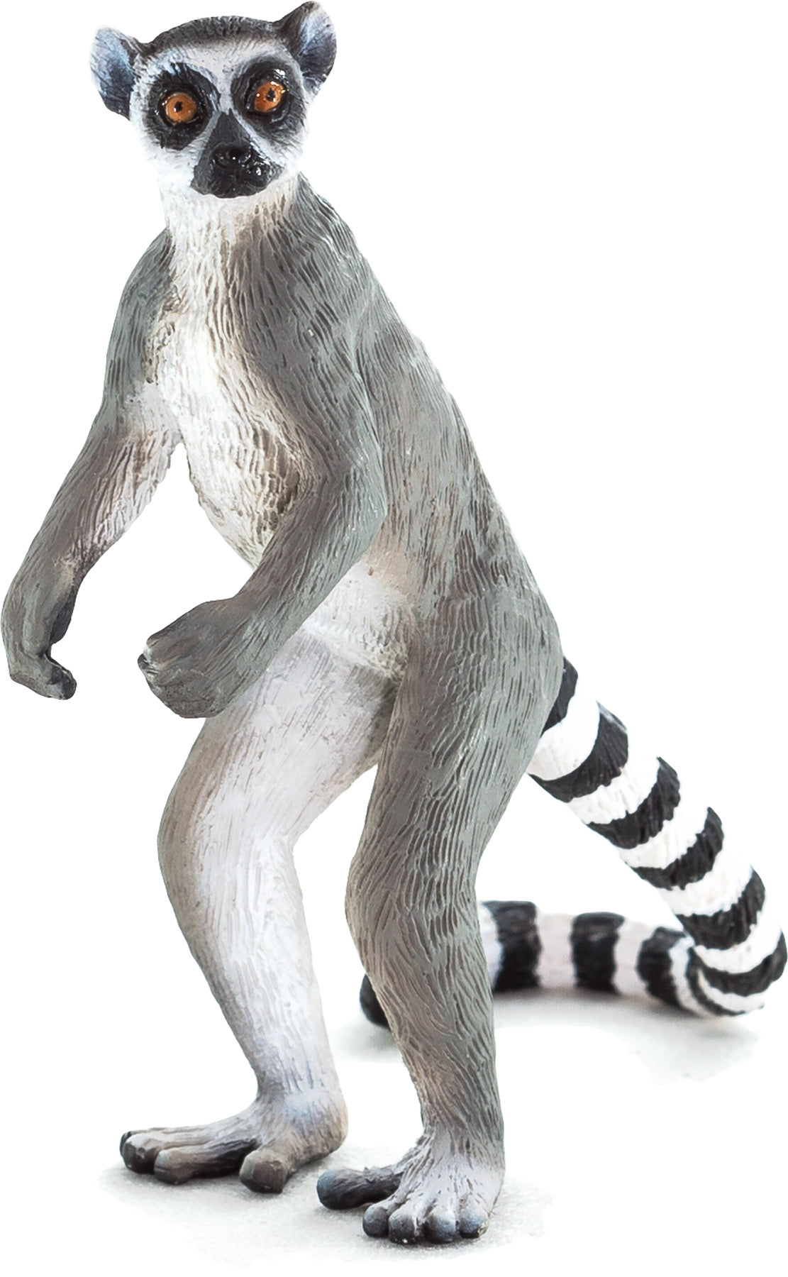 Mojo Ring Tail Lemur