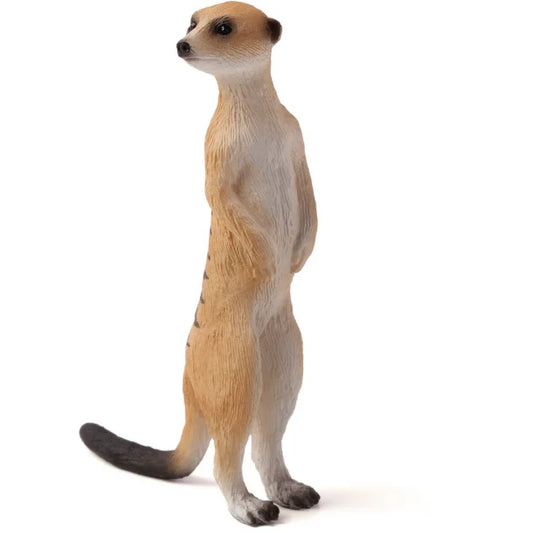 Mojo Meerkat