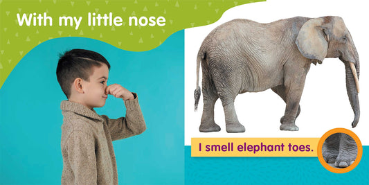 With My Little Nose (My First Senses Book)